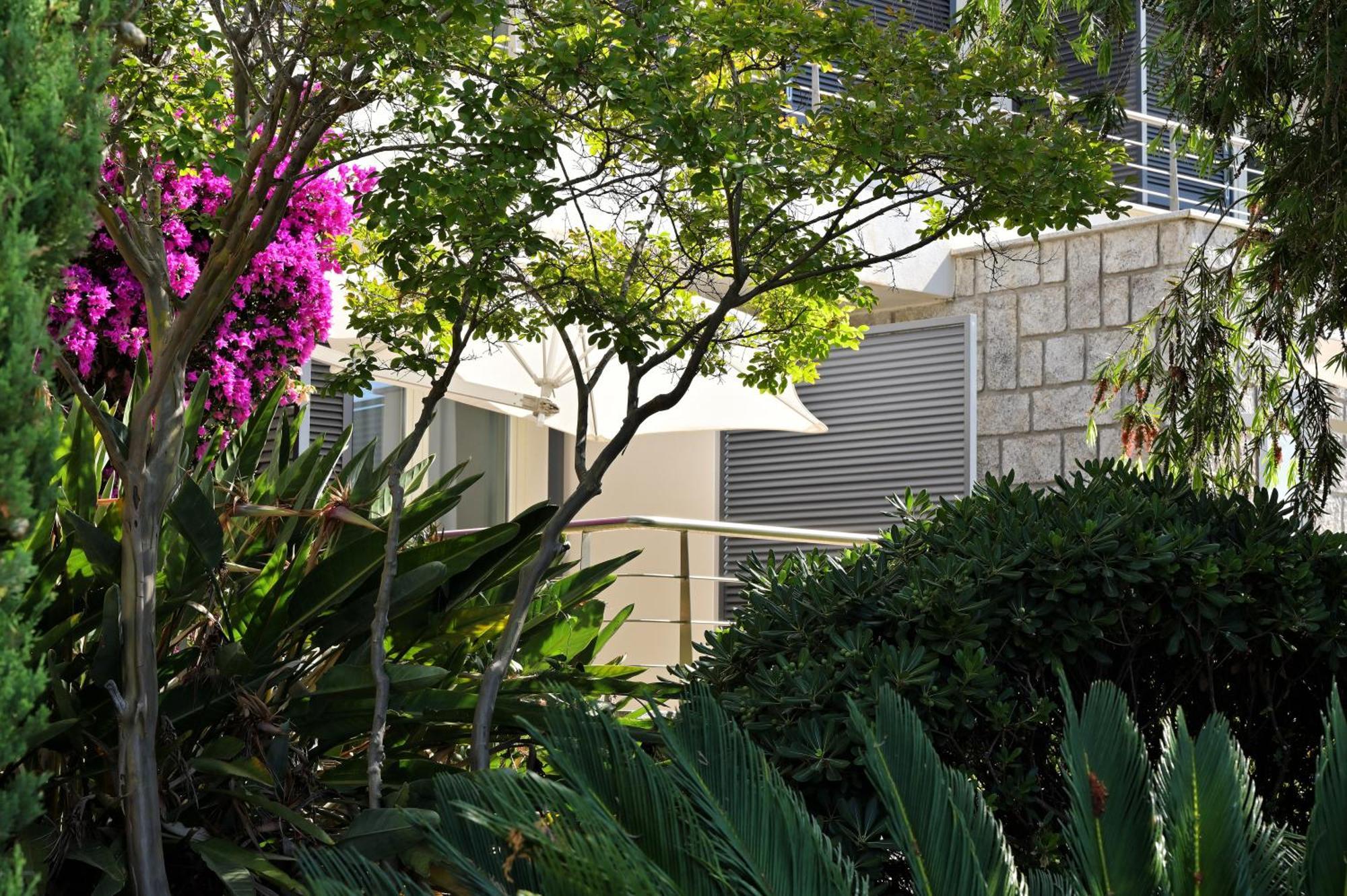 Hotel Les Eucalyptus Porto Pollo Εξωτερικό φωτογραφία