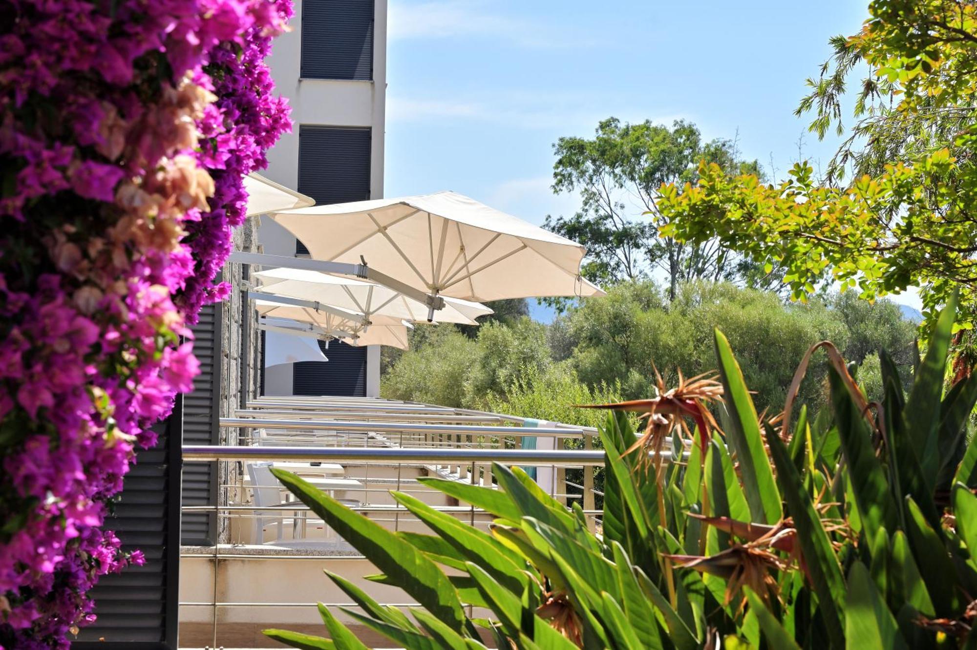 Hotel Les Eucalyptus Porto Pollo Εξωτερικό φωτογραφία