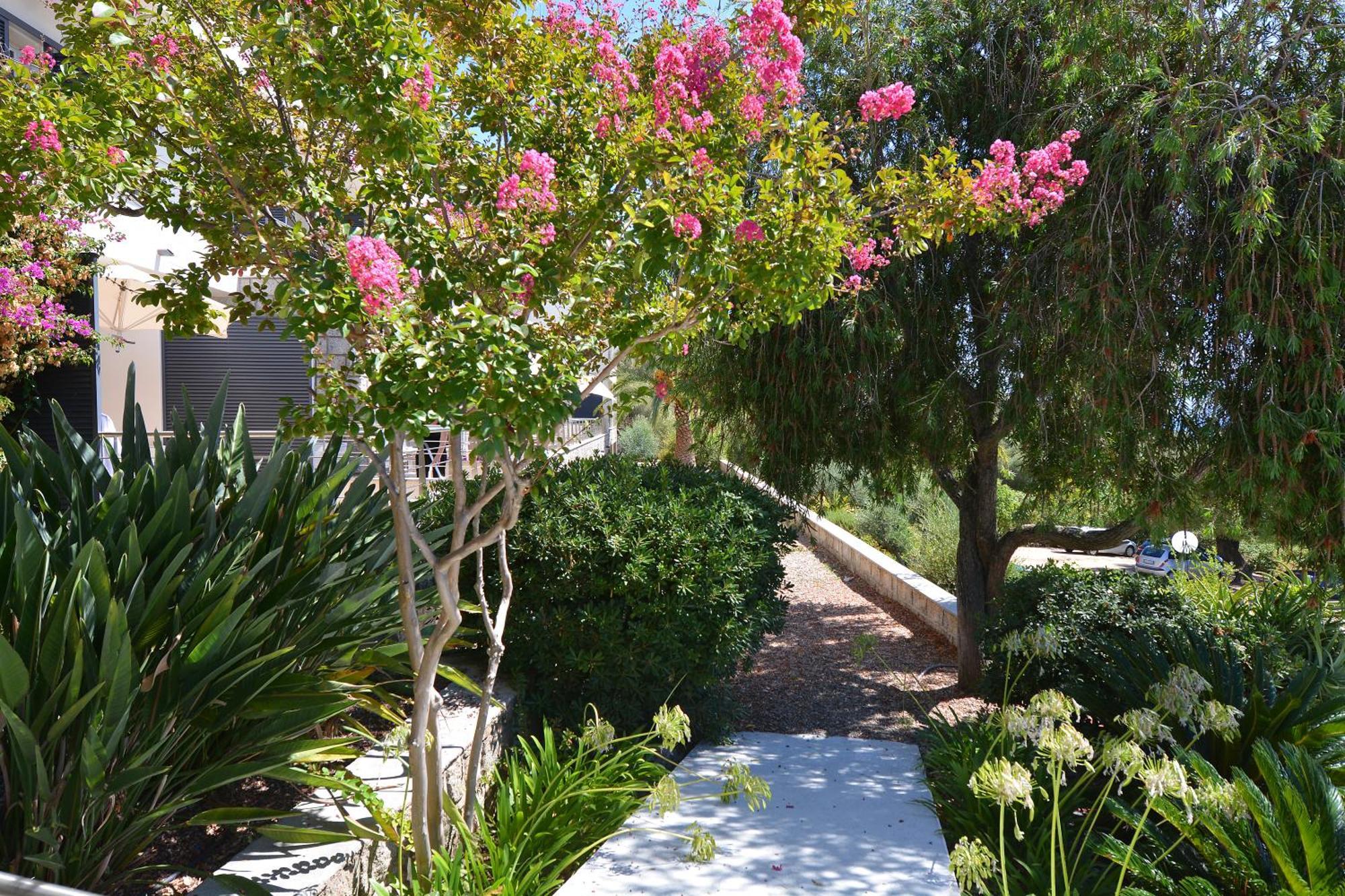 Hotel Les Eucalyptus Porto Pollo Εξωτερικό φωτογραφία
