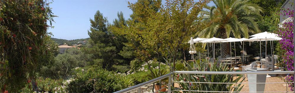 Hotel Les Eucalyptus Porto Pollo Εξωτερικό φωτογραφία